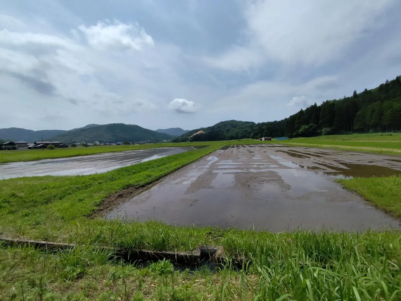 宮崎の一次産業